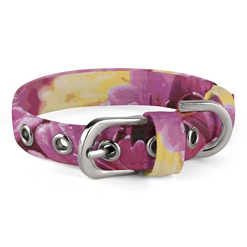 Verstellbares Hundehalsband, Regenbogen-Blume, Meer, Haustierhalsband für kleine, mittelgroße Hunde und Katzen Verstellbares Hundehalsband, Regenbogen-Blume, Meer, Haustierhalsband für kleine, mittelgroße Hunde und Katzen von BVNMT