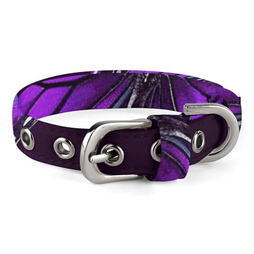 Verstellbares Hundehalsband, Schmetterling, für kleine, mittelgroße Hunde und Katzen, Violett von BVNMT