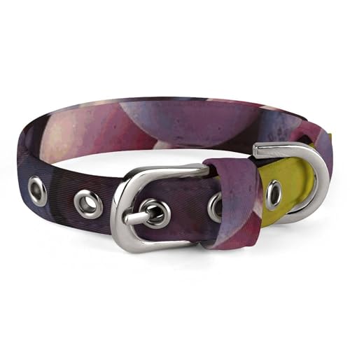 Verstellbares Hundehalsband, Wüstentrauben, Haustierhalsband für kleine, mittelgroße Hunde und Katzen Verstellbares Hundehalsband, Wüstentrauben, Haustierhalsband für kleine, mittelgroße Hunde und Katzen von BVNMT