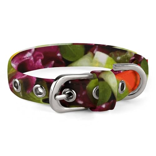 Verstellbares Hundehalsband, bunt, verschiedene Salate, für kleine, mittelgroße Hunde und Katzen Verstellbares Hundehalsband, bunt, verschiedene Salate, für kleine, mittelgroße Hunde und Katzen von BVNMT
