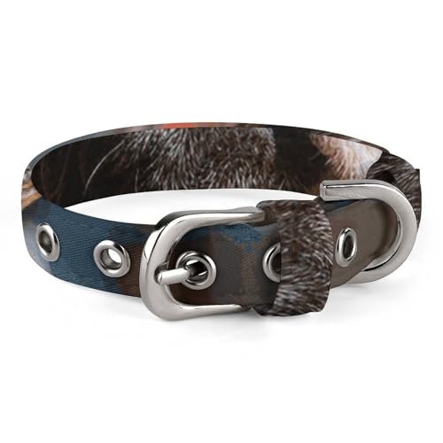 Verstellbares Hundehalsband, französische Bulldogge, mit Sonnenbrille, Haustierhalsband für kleine, mittelgroße Hunde und Katzen Verstellbares Hundehalsband, französische Bulldogge, mit Sonnenbrille, Haustierhalsband für kleine, mittelgroße Hunde und Katzen von BVNMT