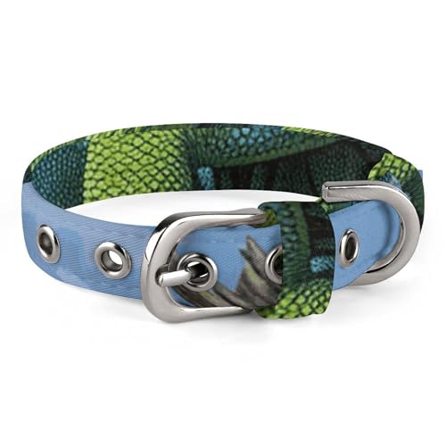 Verstellbares Hundehalsband, grüne Eidechse, Haustierhalsband für kleine, mittelgroße Hunde und Katzen Verstellbares Hundehalsband, grüne Eidechse, Haustierhalsband für kleine, mittelgroße Hunde und Katzen von BVNMT