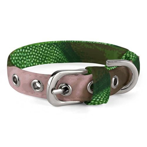 Verstellbares Hundehalsband, grüne Eidechse, Haustierhalsband für kleine, mittelgroße Hunde und Katzen Verstellbares Hundehalsband, grüne Eidechse, Haustierhalsband für kleine, mittelgroße Hunde und Katzen von BVNMT