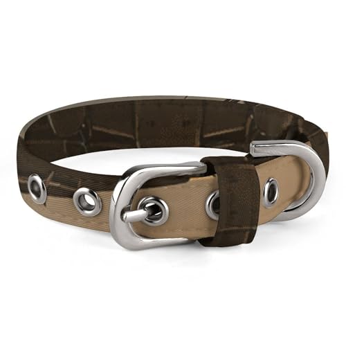Verstellbares Hundehalsband, helles Tageslicht, Flugzeug, Haustierhalsband für kleine, mittelgroße Hunde und Katzen Verstellbares Hundehalsband, helles Tageslicht, Flugzeug, Haustierhalsband für kleine, mittelgroße Hunde und Katzen von BVNMT
