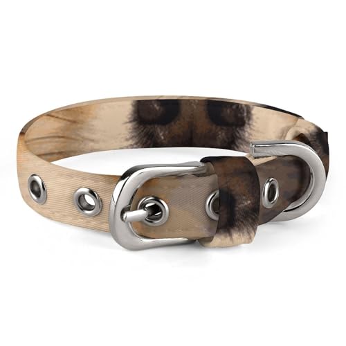 Verstellbares Hundehalsband, kurzhaarig, Zwergspitz, für kleine, mittelgroße Hunde und Katzen Verstellbares Hundehalsband, kurzhaarig, Zwergspitz, für kleine, mittelgroße Hunde und Katzen von BVNMT