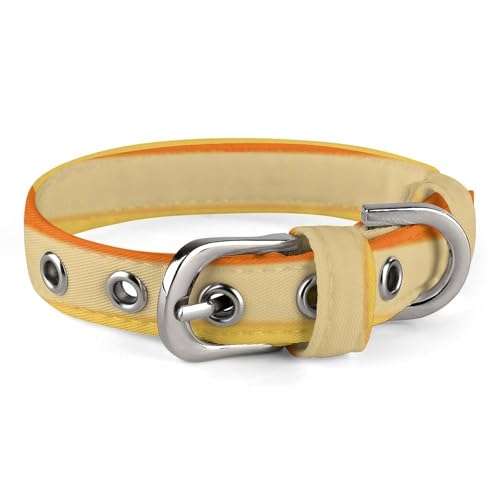 Verstellbares Hundehalsband, mehrfarbig, gestreift, für kleine, mittelgroße Hunde und Katzen von BVNMT