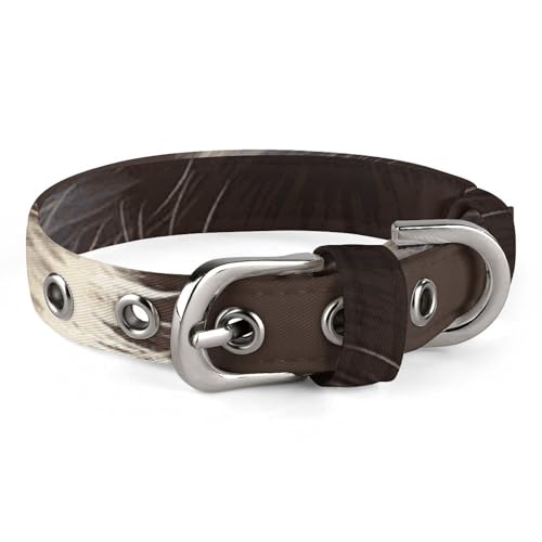 Verstellbares Hundehalsband, niedliches Waschbär-Haustierhalsband für kleine, mittelgroße Hunde und Katzen Verstellbares Hundehalsband, niedliches Waschbär-Haustierhalsband für kleine, mittelgroße Hunde und Katzen von BVNMT