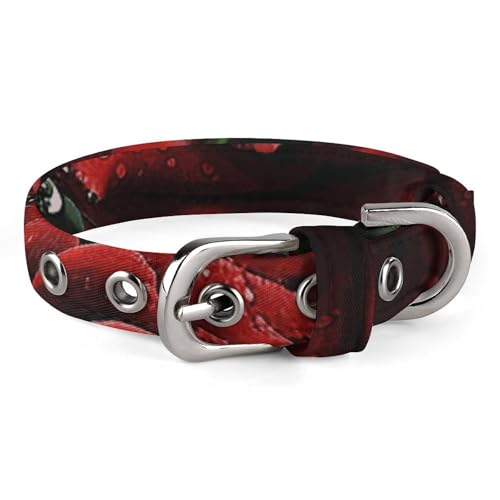 Verstellbares Hundehalsband, rote und schwarze Rose, Haustierhalsband für kleine, mittelgroße Hunde und Katzen Verstellbares Hundehalsband, rote und schwarze Rose, Haustierhalsband für kleine, mittelgroße Hunde und Katzen von BVNMT