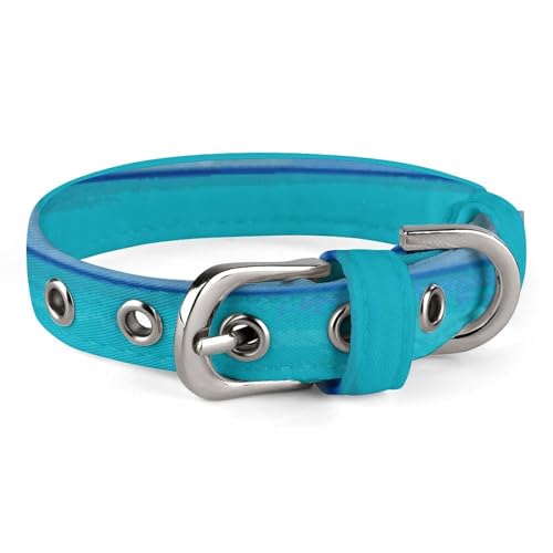 Verstellbares Hundehalsband, weiß, Strand, tropisches Meer, Haustierhalsband für kleine, mittelgroße Hunde und Katzen von BVNMT