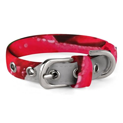 Verstellbares Hundehalsband mit Blüten, rote Rose, Haustierhalsband für kleine, mittelgroße Hunde und Katzen Verstellbares Hundehalsband mit Blüten, rote Rose, Haustierhalsband für kleine, mittelgroße Hunde und Katzen von BVNMT