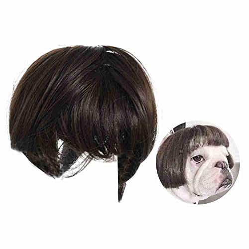 Pet Wigs Cosplay Props Dog Cross-Dressing Hair Set Photography Funny Props Cosplay Headwear Hair Sänger Wig Rock Wig von BVSPA