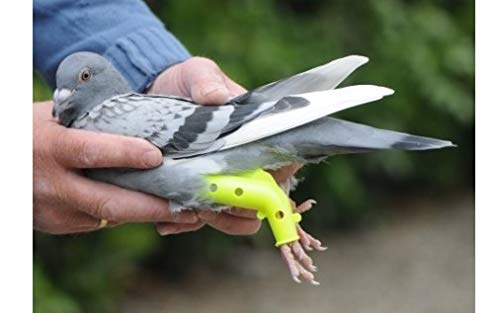 BVT 2 Prothese für Tauben Beinschiene - Brieftauben- Rassetauben Taube-Vogel- Vögel -Geflügel von BVT