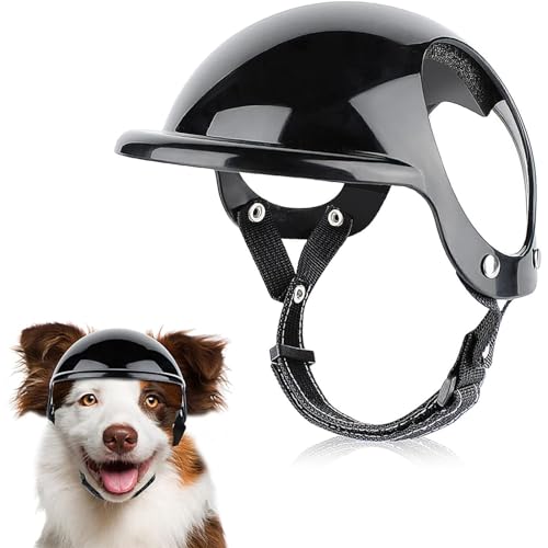 Hunde Helm Motorradhüte Mit Ohrlöchern Hundehelm Haustier Helm Hund Harte Hut Sicherheit Reiten für Hunde Katze Einstellbare Kappe für Katzen/Kleine,Mittelgroße bis Große Hunde,Schwarz (M) von BWLEANSY