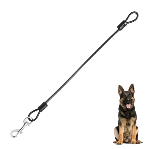 Hundeleine Verlängerungsseil Kausicherfest Metall Kabel Leine,Kausichere Hundeleine,48 cm/19 Zoll Hunter Leine,Kettenleine für Große und Kleine Hunde Training Hundeleine Verlängerungsseil Kausicherfest Metall Kabel Leine,Kausichere Hundeleine,48 cm/19 Zoll Hunter Leine,Kettenleine für Große und Kleine Hunde Training von BWLEANSY