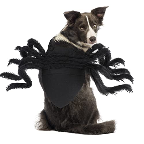 BWOGUE Halloween-Haustier-Kostüm, Spinne, Cosplay, Bekleidung, Hunde, Katzen, Spinne, Kostüm für Party, Kostüm für kleine, mittelgroße Hunde, groß von BWOGUE