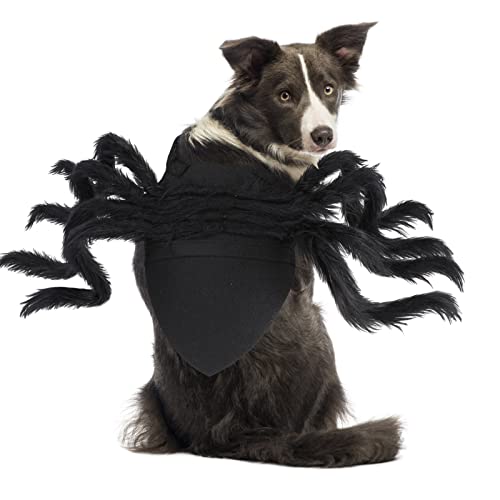 BWOGUE Halloween-Kostüm für Haustiere, Spinne, Cosplay, für Hunde und Katzen, für Party, Kostüm für kleine, mittelgroße Hunde, Größe L BWOGUE Halloween-Kostüm für Haustiere, Spinne, Cosplay, für Hunde und Katzen, für Party, Kostüm für kleine, mittelgroße Hunde, Größe L von BWOGUE