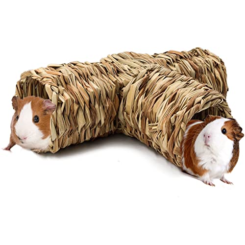 BWOGUE Hamster Grastunnel Spielzeug Natur's Hideaway Meerschweinchen Tunnel und Röhren Spielzeug für Ratten, syrische Hamster, Frettchen, Meerschweinchen, Chinchillas-Igel und Häschen von BWOGUE