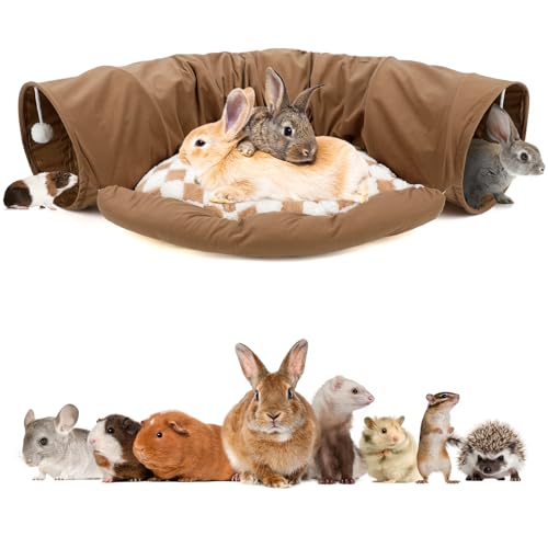 BWOGUE Hasentunnelbett, 2-in-1 zusammenklappbare Tunnelröhren, Spielzeug mit abnehmbarer Matte, Versteck für Katzen, Kätzchen, Kaninchen, Meerschweinchen, Kätzchen (Kaffee) von BWOGUE