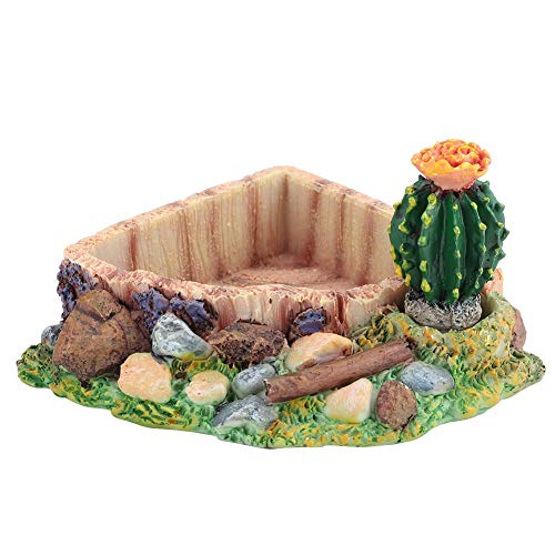 BYARSS Reptile Pet Schildkröte-Schildkröten-Lizard Füttern Wasser-Schüssel Teller mit Cactus Home Decoration von BYARSS