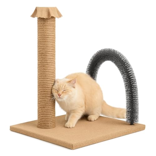 BYPET Katzen Juckreiz- und Kratzbrett Pflegegerät mit Kratzpad, Enthaarungsbogen, Kratzpappe, Kratzbogen mit Kratzbrett, Katzenrückenpflege Kratzspielzeug, Spielzeugbürste (Grau) von BYPET