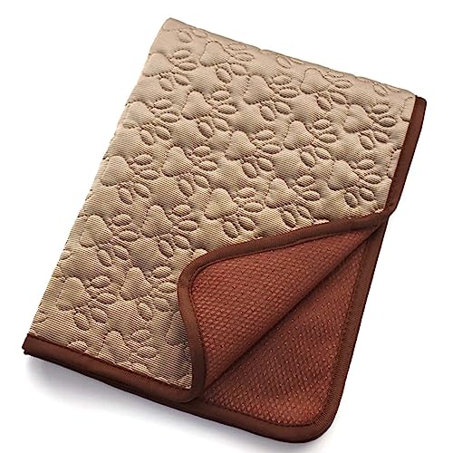 BYYLECL Atmungsaktive Hundekühlmatte, Haustiere, Sommerschlafmatratze, ideal für Hunde und Katzen im heißen Sommer, kratzfeste, langlebige Haustier-Kühlmatte, S/M/L, Kaffee BYYLECL Atmungsaktive Hundekühlmatte, Haustiere, Sommerschlafmatratze, ideal für Hunde und Katzen im heißen Sommer, kratzfeste, langlebige Haustier-Kühlmatte, S/M/L, Kaffee von BYYLECL