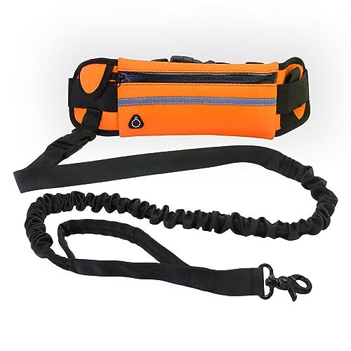 Hund mit Taillengürtel zum Laufen, Walken, Training, Wandern, verstellbarer Hüftgurt und Tasche, ideal für mittelgroße bis große Hunde, Gelb Hund mit Taillengürtel zum Laufen, Walken, Training, Wandern, verstellbarer Hüftgurt und Tasche, ideal für mittelgroße bis große Hunde, Gelb von BYYLECL