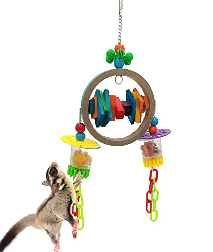 BZN Futtersuche Spielzeug kleintiere - Zwillingsbecher - ideal für Sugar Gliders, Chinchilla, Hamsters und Ratten. Perfektes Spielzeug, um Langeweile zu vermeiden und zum Entdecken anzuregen. von BZN