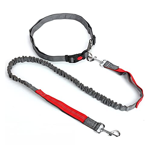 Haustierleine, ausziehbare Hundeleine mit verstellbarem Taillenseil, Laufen, Joggen, Radfahren, Spazierengehen, Haustierbedarf, Zubehör, Haustier-Leine / 860 (Color : 3, Size : One Size) von BZVCRTYKL