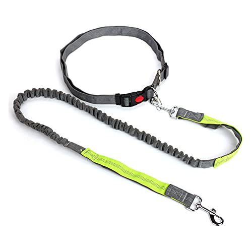 Haustierleine, ausziehbare Hundeleine mit verstellbarem Taillenseil, Laufen, Joggen, Radfahren, Spazierengehen, Haustierbedarf, Zubehör, Haustier-Leine / 860 (Color : 4, Size : One Size) von BZVCRTYKL