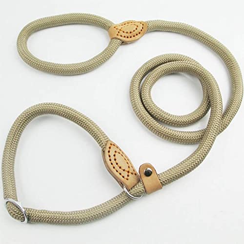 Hundeleine, Hundeleine, Nylon-Hundeleine, verstellbares Hundegeschirr, langlebiger Seilgürtel, Leichter Hundebedarf, Gehtraining, Haustierprodukte /2955 (Color : OneColor, Size : Large) von BZVCRTYKL
