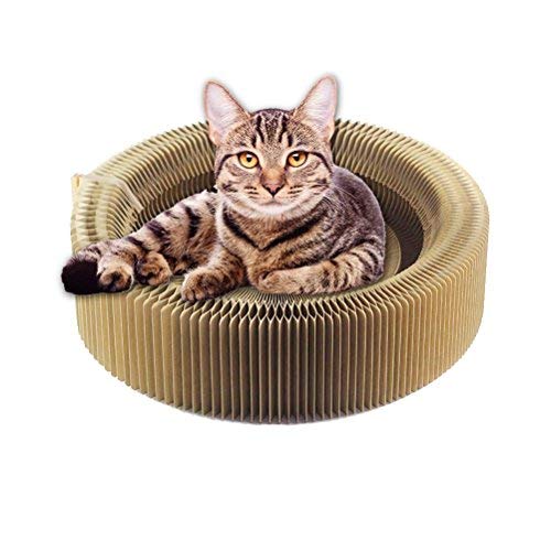 Katzenkratzer-Lounge-Bett, zusammenklappbares, rundes Katzenkratz-Katzenspielzeug aus Pappe for Kratzen und Ausruhen/219 von BZVCRTYKL