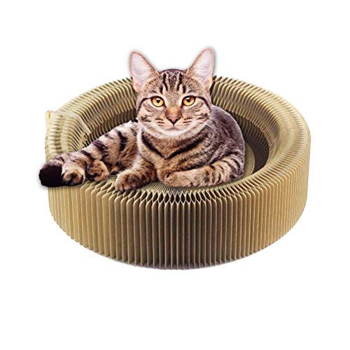Katzenkratzer-Lounge-Bett, zusammenklappbares, rundes Katzenkratz-Katzenspielzeug aus Pappe for Kratzen und Ausruhen/219 Katzenkratzer-Lounge-Bett, zusammenklappbares, rundes Katzenkratz-Katzenspielzeug aus Pappe for Kratzen und Ausruhen/219 von BZVCRTYKL