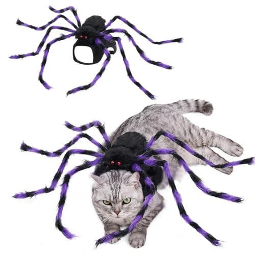 Halloween Spinnenkostüm für Hund Katze, 3D Spinne Haustier Kostüm für Halloween Dekorationen, Atmungsaktive Dacron Spider Cosplay Kostüme mit Verstellbaren Trägern für Kleine Mittlere Hunde und Katzen Halloween Spinnenkostüm für Hund Katze, 3D Spinne Haustier Kostüm für Halloween Dekorationen, Atmungsaktive Dacron Spider Cosplay Kostüme mit Verstellbaren Trägern für Kleine Mittlere Hunde und Katzen von BaYuYPOO