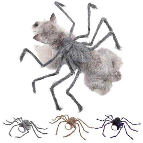 Halloween Spinnenkostüm für Hund Katze, 3D Spinne Haustier Kostüm für Halloween Dekorationen, Atmungsaktive Dacron Spider Cosplay Kostüme mit Verstellbaren Trägern für Kleine Mittlere Hunde und Katzen Halloween Spinnenkostüm für Hund Katze, 3D Spinne Haustier Kostüm für Halloween Dekorationen, Atmungsaktive Dacron Spider Cosplay Kostüme mit Verstellbaren Trägern für Kleine Mittlere Hunde und Katzen von BaYuYPOO