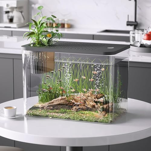 Kleine Fischschale für Goldfische, transparente rechteckige Kunststoffschale, Mikro-Landschaft, Desktop-Aquarium, Terrarium, Hydrokultur-Pflanzgefäß, Fischschale für Tafelaufsätze, Goldfisch, Kleine Fischschale für Goldfische, transparente rechteckige Kunststoffschale, Mikro-Landschaft, Desktop-Aquarium, Terrarium, Hydrokultur-Pflanzgefäß, Fischschale für Tafelaufsätze, Goldfisch, von BaYuYPOO