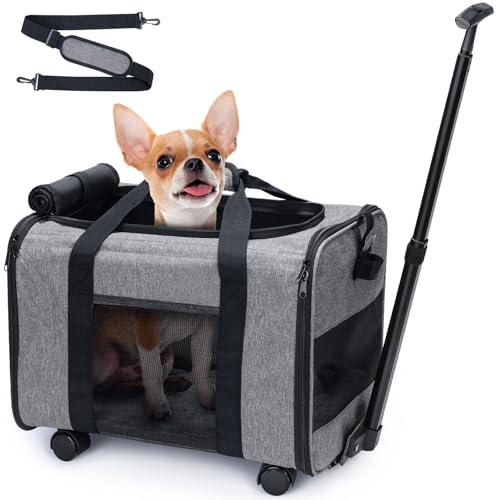 Babenest Hundetrage mit abnehmbaren Rädern, Fluggesellschaft zugelassen, rollende Haustier-Tragetasche für kleine Haustiere und Katzen, mit Teleskopgriff und Schultergurt, Auto, Reisen, Camping, Park, Babenest Hundetrage mit abnehmbaren Rädern, Fluggesellschaft zugelassen, rollende Haustier-Tragetasche für kleine Haustiere und Katzen, mit Teleskopgriff und Schultergurt, Auto, Reisen, Camping, Park, von Babenest