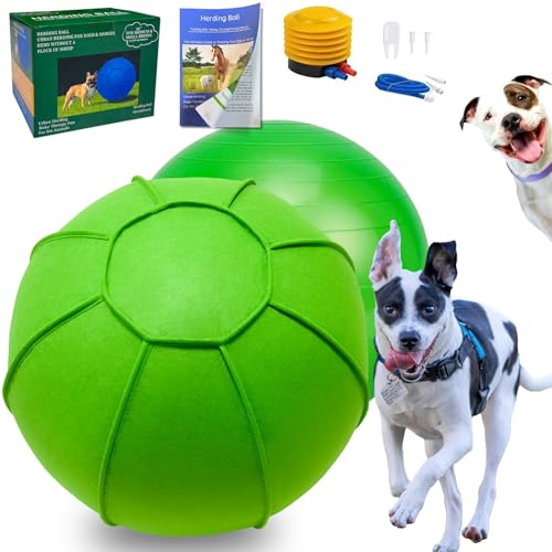 Herding Ball für Hunde – 45,7 cm großes, langlebiges Spielzeug für australische Schäferhunde, Border Collies, Deutsche Doggen – PVC-Ball für Hof und Bauernhof, Trainingsbuch Herding Ball für Hunde – 45,7 cm großes, langlebiges Spielzeug für australische Schäferhunde, Border Collies, Deutsche Doggen – PVC-Ball für Hof und Bauernhof, Trainingsbuch von BabieDtOyG