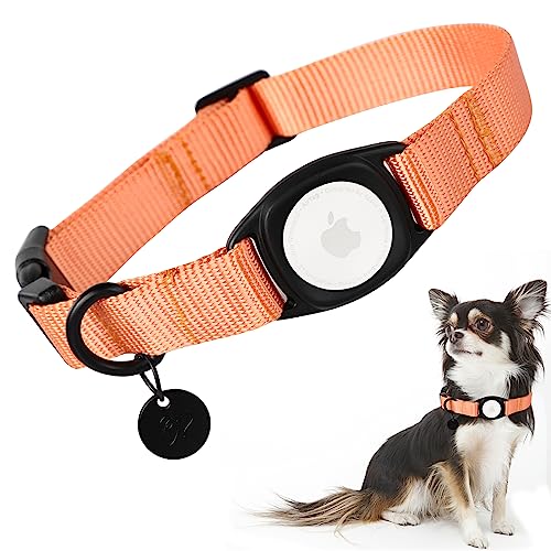Babole Pet AirTag Hundehalsband für kleine Welpen, Nylon, integriertes GPS-Halsband mit robuster Schnappschnalle, Hunde-Tracker für Apple iPhone, mittelgroße und große Jungen, Mädchen und Hündinnen, Babole Pet AirTag Hundehalsband für kleine Welpen, Nylon, integriertes GPS-Halsband mit robuster Schnappschnalle, Hunde-Tracker für Apple iPhone, mittelgroße und große Jungen, Mädchen und Hündinnen, von Babole Pet