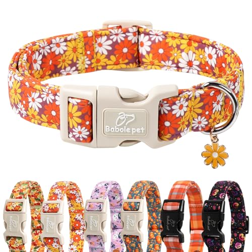 Babole Pet Herbst-Hundehalsband, niedliches Herbst-Gänseblümchen-Welpenhalsband, leicht, bequem, verstellbar, für kleine, mittelgroße und große Mädchen, Jungen, Größe XL Babole Pet Herbst-Hundehalsband, niedliches Herbst-Gänseblümchen-Welpenhalsband, leicht, bequem, verstellbar, für kleine, mittelgroße und große Mädchen, Jungen, Größe XL von Babole Pet