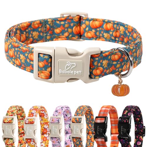 Babole Pet Herbst-Hundehalsband, niedliches Herbst-Kürbis-Welpenhalsband, leicht, bequem, verstellbar, für kleine, mittelgroße und große Mädchen, Jungen, Hunde, Größe S Babole Pet Herbst-Hundehalsband, niedliches Herbst-Kürbis-Welpenhalsband, leicht, bequem, verstellbar, für kleine, mittelgroße und große Mädchen, Jungen, Hunde, Größe S von Babole Pet