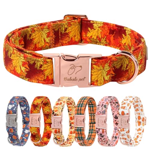 Babole Pet Herbst-Hundehalsband für große Hunde – Vintage-Herbst-Orange-Grün, kariert, weich, verstellbar, Urlaubs-Haustier-Baumwollhalsband mit Sicherheitsschnalle, Größe XL Babole Pet Herbst-Hundehalsband für große Hunde – Vintage-Herbst-Orange-Grün, kariert, weich, verstellbar, Urlaubs-Haustier-Baumwollhalsband mit Sicherheitsschnalle, Größe XL von Babole Pet