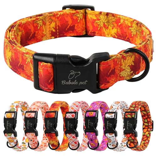Babole Pet Hundehalsband, Thansgiving verstellbar, leicht, Baumwolle, für kleine, mittelgroße und große Jungen, Mädchen, Hunde, Orange, Ahornblatt, M Babole Pet Hundehalsband, Thansgiving verstellbar, leicht, Baumwolle, für kleine, mittelgroße und große Jungen, Mädchen, Hunde, Orange, Ahornblatt, M von Babole Pet