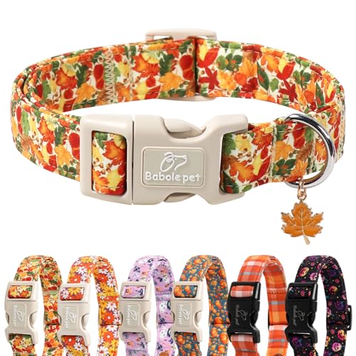 Babole Pet Hundehalsband für Hunde, niedliches Herbstblätter, leicht, bequem, verstellbar, für kleine, mittelgroße und große Mädchen, Jungen, Größe S Babole Pet Hundehalsband für Hunde, niedliches Herbstblätter, leicht, bequem, verstellbar, für kleine, mittelgroße und große Mädchen, Jungen, Größe S von Babole Pet