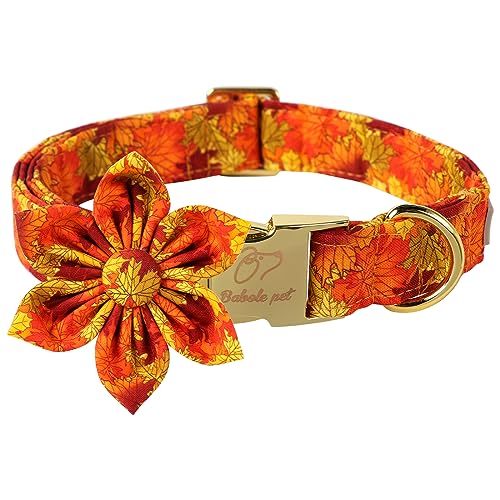 Babole Pet Hundehalsband mit Fliege, verstellbar, für Jungen, Mädchen, kleiner Hund, Baumwolle, goldfarben, Metallschnalle, orangefarbenes Ahornblatt, bedruckt, Größe S Babole Pet Hundehalsband mit Fliege, verstellbar, für Jungen, Mädchen, kleiner Hund, Baumwolle, goldfarben, Metallschnalle, orangefarbenes Ahornblatt, bedruckt, Größe S von Babole Pet