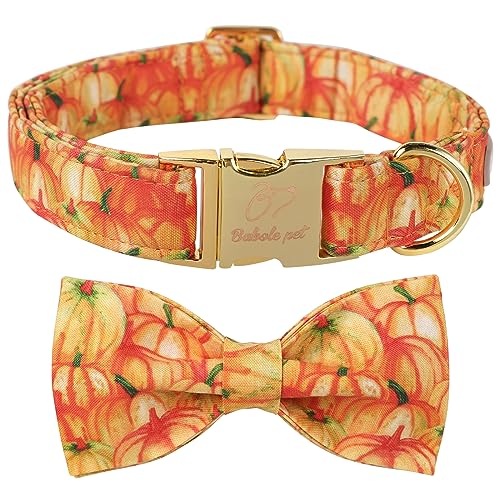 Babole Pet Hundehalsband mit Fliege, verstellbar, für Jungen und Mädchen, Größe XS, Baumwolle, goldfarben, Metallschnalle, orangefarbener Kürbis, bedruckt, Größe XS Babole Pet Hundehalsband mit Fliege, verstellbar, für Jungen und Mädchen, Größe XS, Baumwolle, goldfarben, Metallschnalle, orangefarbener Kürbis, bedruckt, Größe XS von Babole Pet