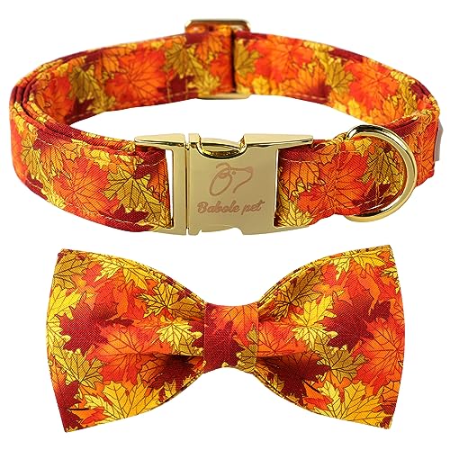 Babole Pet Hundehalsband mit Fliege, verstellbar, für Jungen und Mädchen, mittelgroße Hunde, Baumwolle, goldfarbene Metallschnalle, orangefarbenes Ahornblatt, bedruckt, Größe M Babole Pet Hundehalsband mit Fliege, verstellbar, für Jungen und Mädchen, mittelgroße Hunde, Baumwolle, goldfarbene Metallschnalle, orangefarbenes Ahornblatt, bedruckt, Größe M von Babole Pet