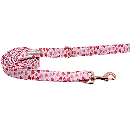 Babole Pet Valentinstags-Hundeleine – langlebige, handgefertigte Leinen mit weichem Griff, manuelle Anpassung, passendes weiß-rot-rosa Liebes-Hundehalsband, S – L (135 cm) Babole Pet Valentinstags-Hundeleine – langlebige, handgefertigte Leinen mit weichem Griff, manuelle Anpassung, passendes weiß-rot-rosa Liebes-Hundehalsband, S – L (135 cm) von Babole Pet