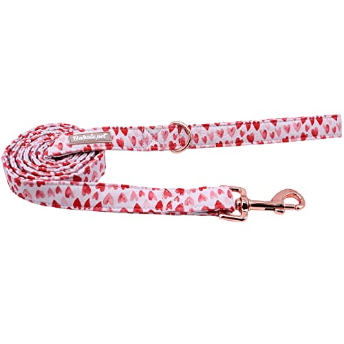 Babole Pet Valentinstag-Hundeleine, langlebige, handgefertigte Hundeleinen mit weichem Griff, manuelle Hundeleinen, passende Hundehalsbänder für kleine, mittelgroße und große Hunde, S, Länge 135 cm von Babole Pet