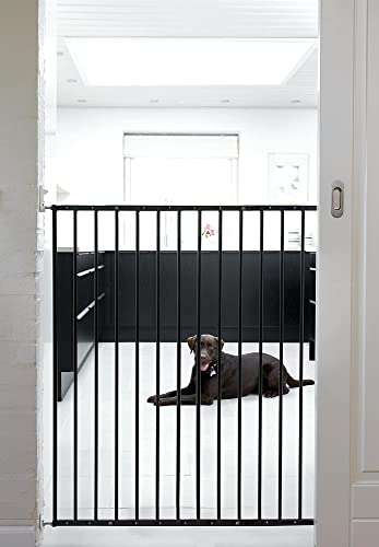 BabyDan 57416-2600-06 Ausziehbares Tor für Haustiere und Kinder, schwarz, Breite 62,5 - 106,8 cm BabyDan 57416-2600-06 Ausziehbares Tor für Haustiere und Kinder, schwarz, Breite 62,5 - 106,8 cm von BabyDan