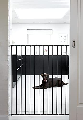 BabyDan 57416-2600-06 Ausziehbares Tor für Haustiere und Kinder, schwarz, Breite 62,5 - 106,8 cm von BabyDan